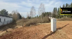 GH949581 - zdjęcie nr 4