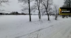 GH881913 - zdjęcie nr 1