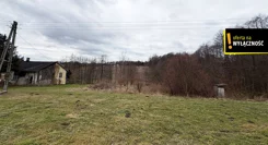 GH286020422 - zdjęcie nr 3