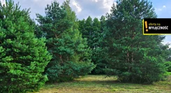 GH125733 - zdjęcie nr 3