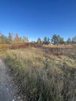 GH450997 - zdjęcie nr 1