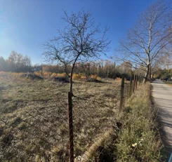 GH450997 - zdjęcie nr 3