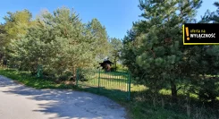 GH138512 - zdjęcie nr 3