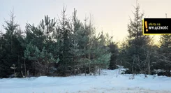 GH627169 - zdjęcie nr 1