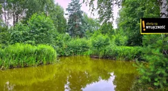 GH542887 - zdjęcie nr 3