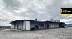 GH533858393 - zdjęcie nr 1