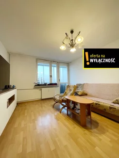 GH554066 - zdjęcie nr 2