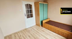 GH950733 - zdjęcie nr 3