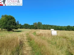 530/14328/OGS - zdjęcie nr 3