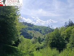 754/14328/OGS - zdjęcie nr 3