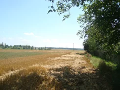 19/14328/OGS - zdjęcie nr 4