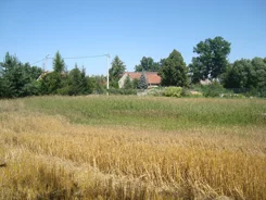 19/14328/OGS - zdjęcie nr 5