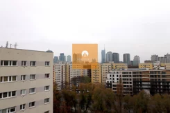 565530 - zdjęcie nr 3