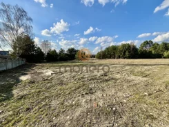 19/13049/OGS - zdjęcie nr 2