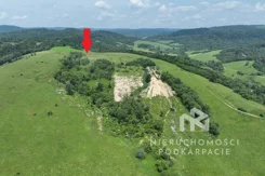 6/18541/OGS - zdjęcie nr 3