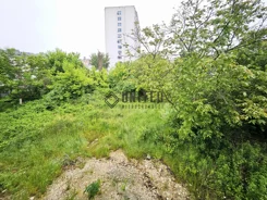 5/10630/OOS - zdjęcie nr 4