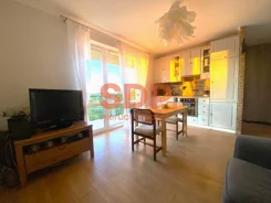 SDP552637 - zdjęcie nr 0