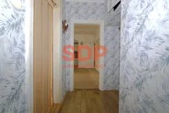 SDP247106 - zdjęcie nr 0