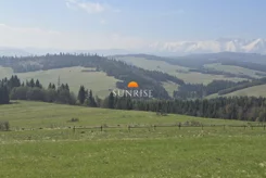 1153-GS-Dzj9ONuoY8 - zdjęcie nr 3