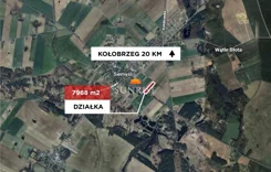 1103-GS-Dzj9ONuoY8 - zdjęcie nr 3
