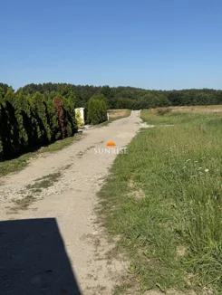 1112-GS-Dzj9ONuoY8 - zdjęcie nr 4