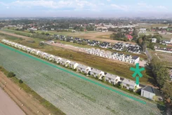 Zielone Falenty - zdjęcie nr 3