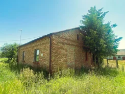 833054 - zdjęcie nr 0