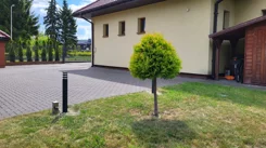 835546 - zdjęcie nr 3
