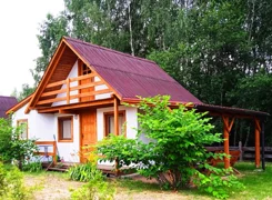 824453 - zdjęcie nr 1