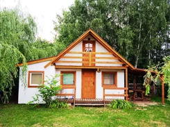 824453 - zdjęcie nr 4