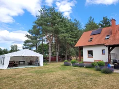 833690 - zdjęcie nr 0