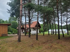 833690 - zdjęcie nr 2