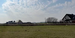 835773 - zdjęcie nr 1