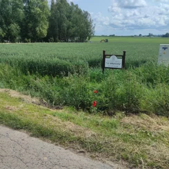 834830 - zdjęcie nr 1