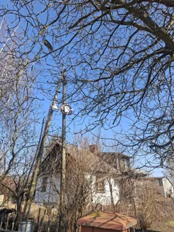 835552 - zdjęcie nr 2