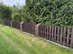 835983 - zdjęcie nr 3