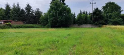 836094 - zdjęcie nr 2