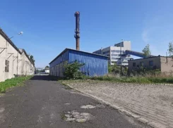 835541 - zdjęcie nr 4