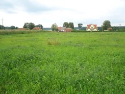 826332 - zdjęcie nr 3