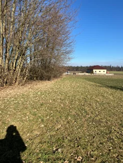834322 - zdjęcie nr 0