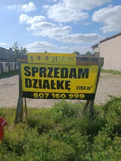 833827 - zdjęcie nr 3