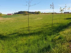 836070 - zdjęcie nr 0