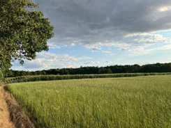 827763 - zdjęcie nr 3