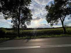827763 - zdjęcie nr 4
