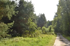 835752 - zdjęcie nr 3