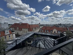 835913 - zdjęcie nr 3
