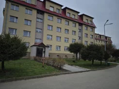 835889 - zdjęcie nr 2