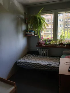 835223 - zdjęcie nr 0