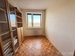 835979 - zdjęcie nr 2