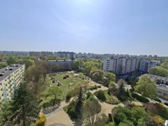 836061 - zdjęcie nr 2
